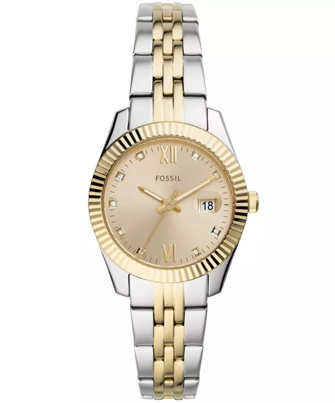 Hodinky Dámske Fossil Scarlette Mini ES4949