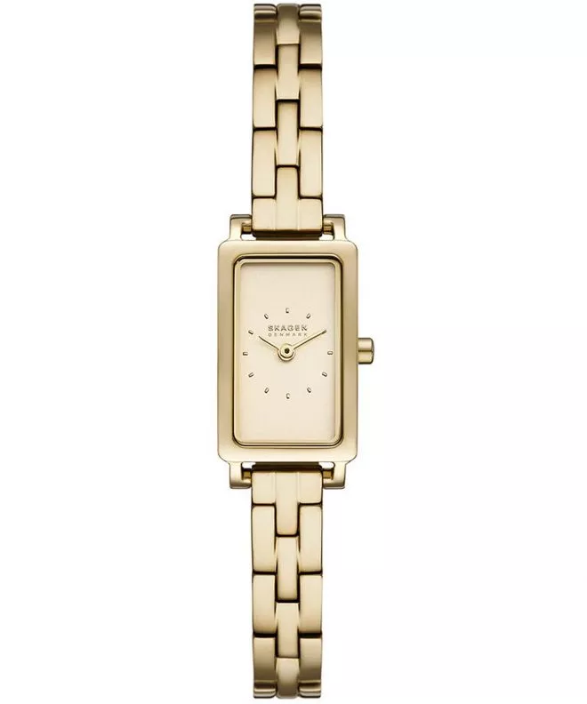 Hodinky dámske Skagen Hagen Micro SKW3154