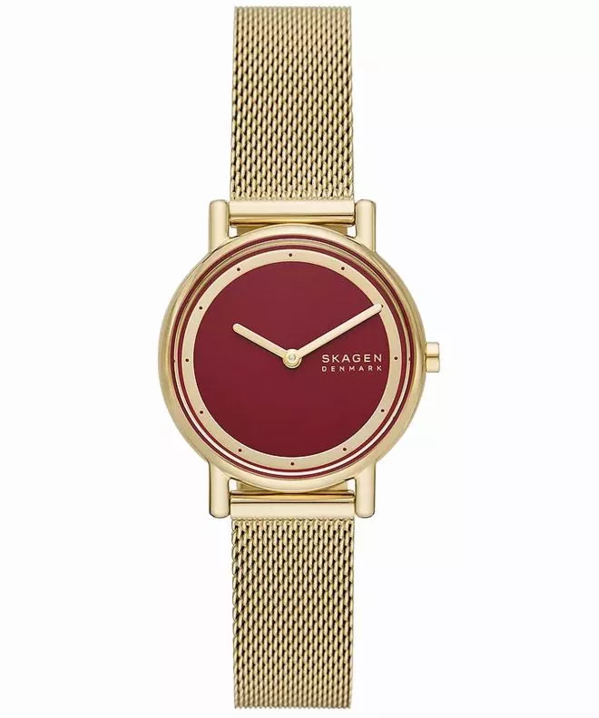 Hodinky dámske Skagen Signatur Lille SKW3117