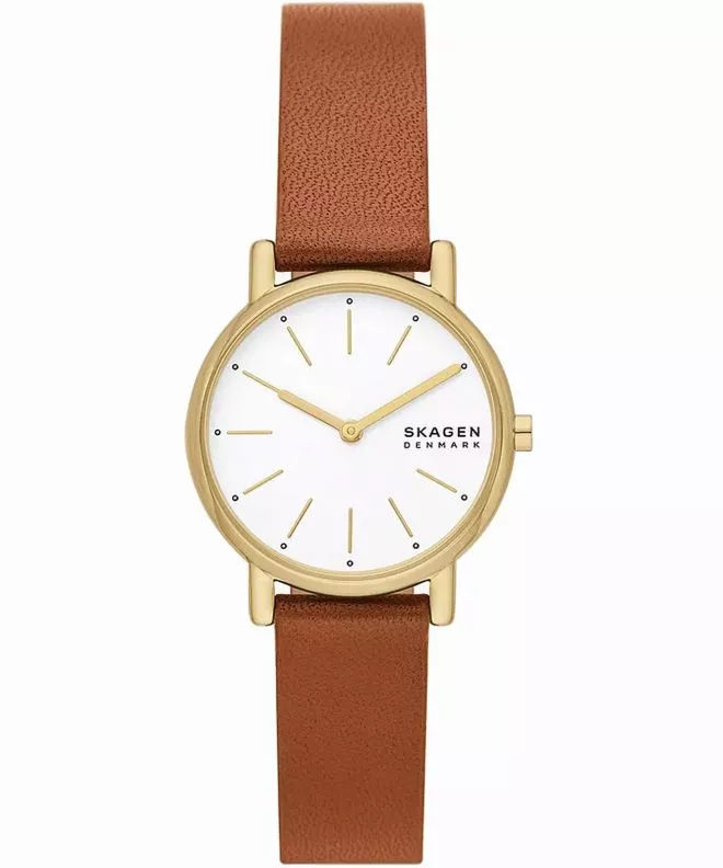 Hodinky dámske Skagen Signatur Lille SKW3121
