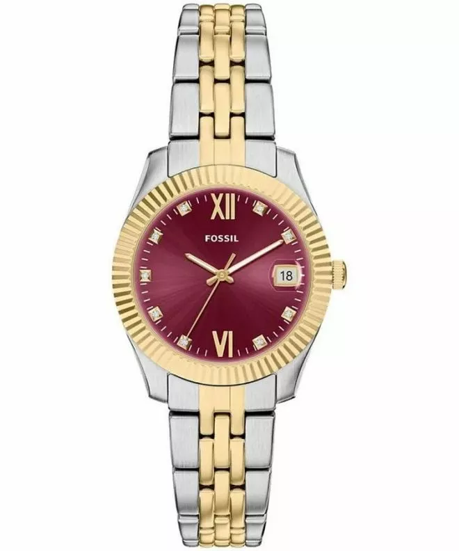 Hodinky dámske Fossil Scarlette ES5461