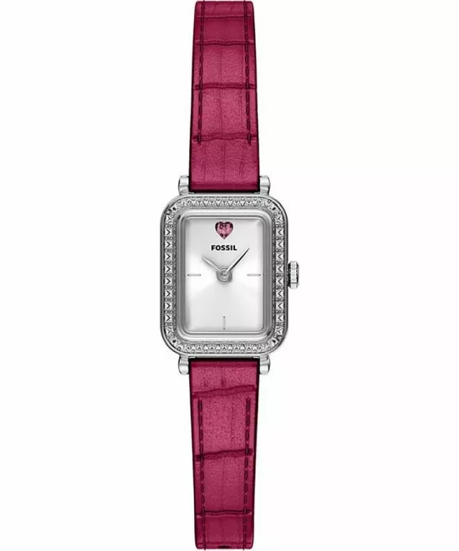 Hodinky unisex Fossil Raquel ES5466