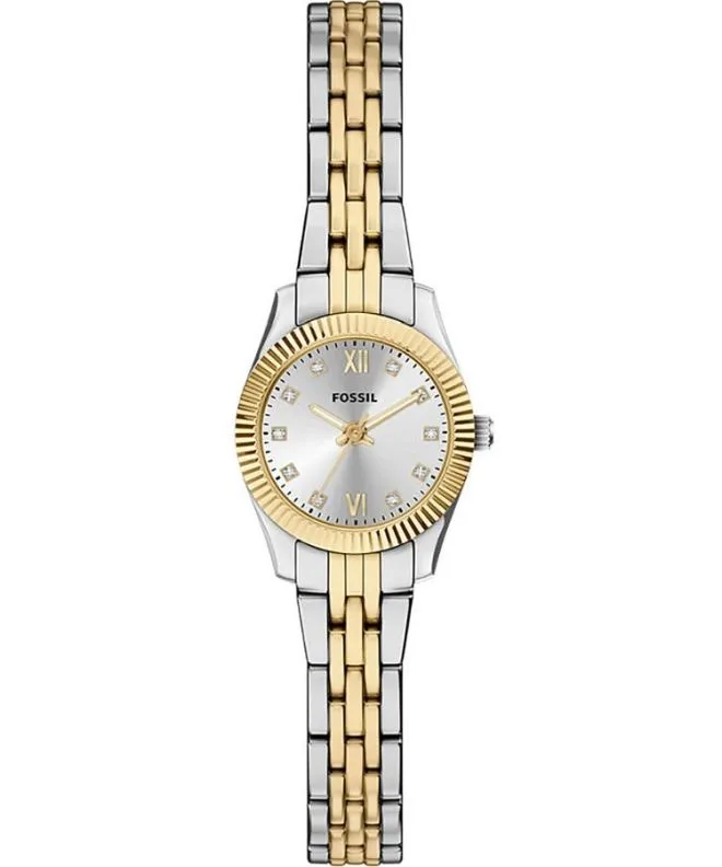 Hodinky dámske Fossil Scarlette ES5473