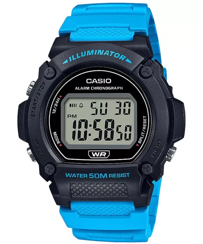 Hodinky Pánske Casio Sport W-219H-2A2VEF