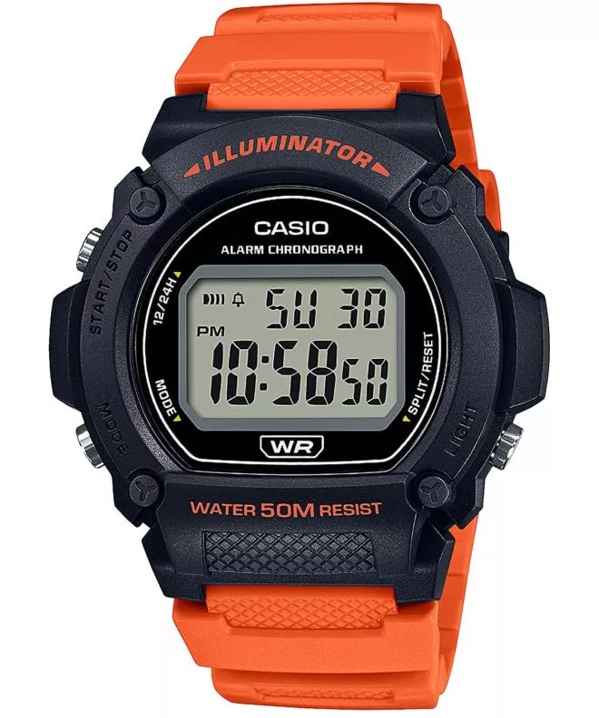 Hodinky Pánske Casio Sport W-219H-4AVEF