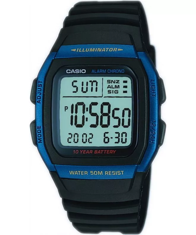 Hodinky pánske Casio Sport W-96H-2AVEF
