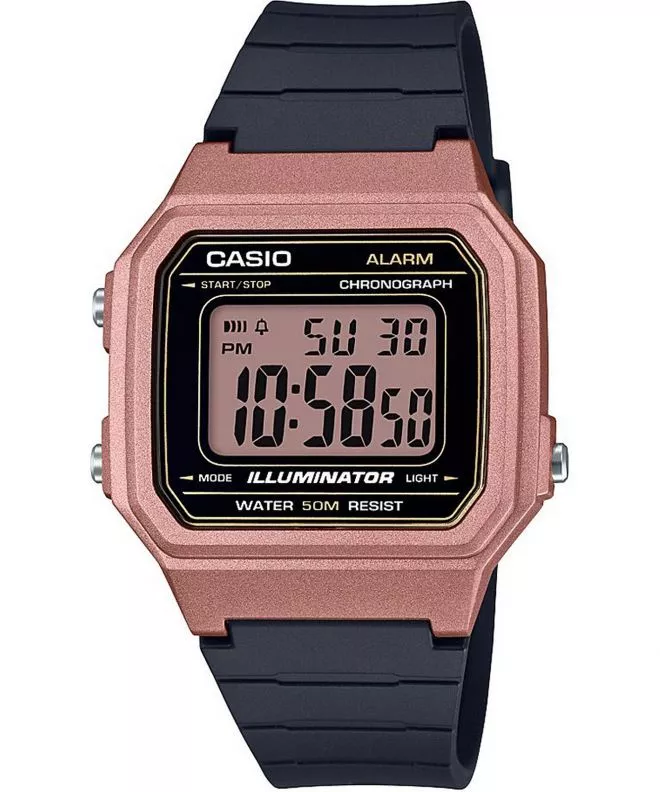 Hodinky Pánske Casio Oldschool W-217HM-5AVEF