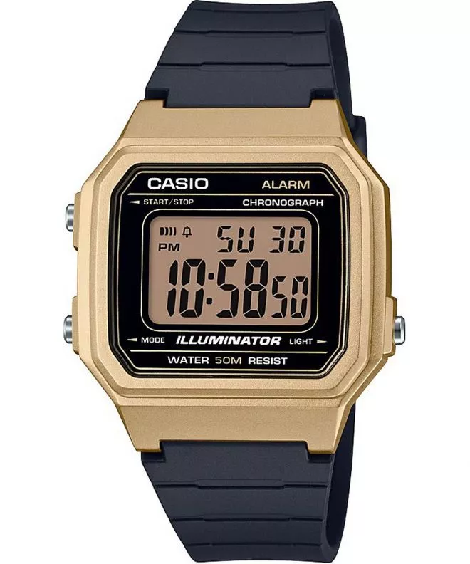 Hodinky Pánske Casio Oldschool W-217HM-9AVEF