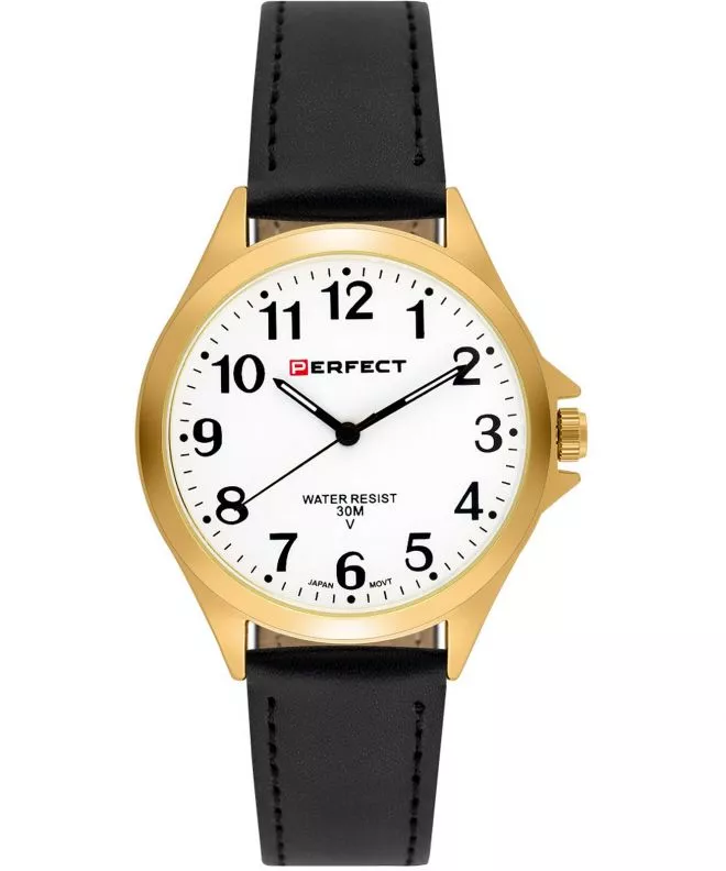 Hodinky pánske Perfect Blister IP PF00895