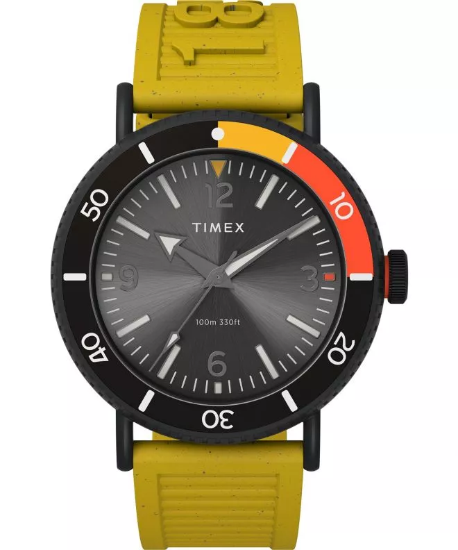 Hodinky pánske Timex Standard Diver TW2V71600