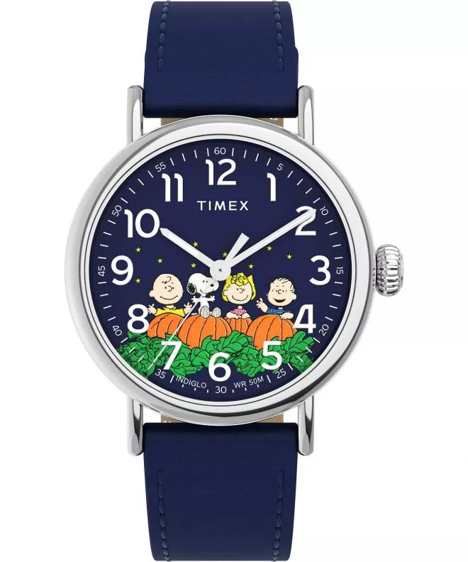 Hodinky pánske Timex Standard x TW2W72700