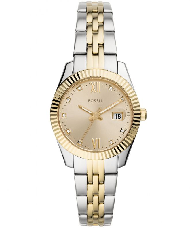 Hodinky Dámske Fossil Scarlette Mini ES4949