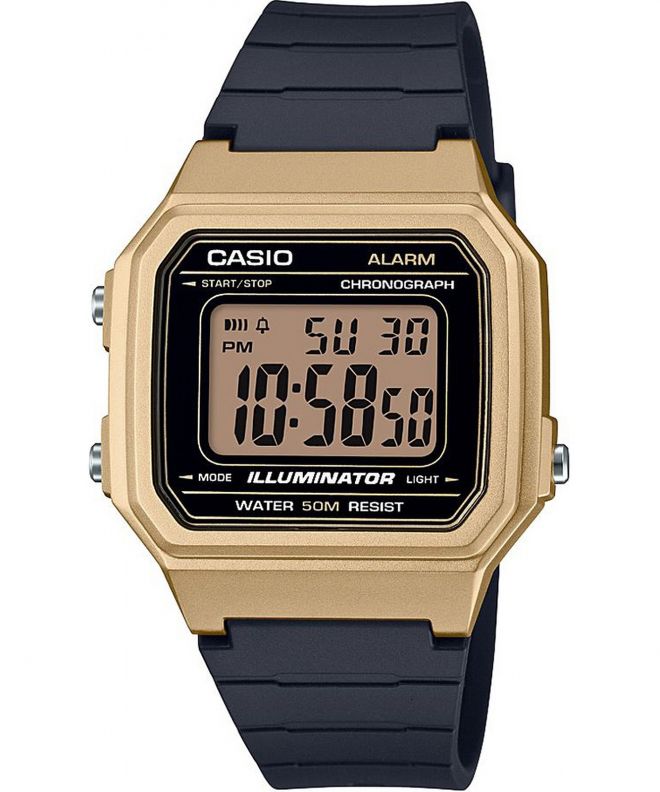 Hodinky Pánske Casio Oldschool W-217HM-9AVEF