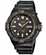 Hodinky pánske Casio Sport