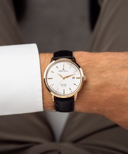 Hodinky pánske DESTELL Pictor Silver Gold Black Leather Sapphire