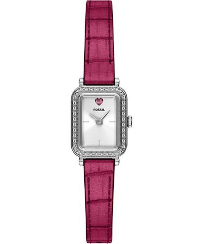 Hodinky unisex Fossil Raquel