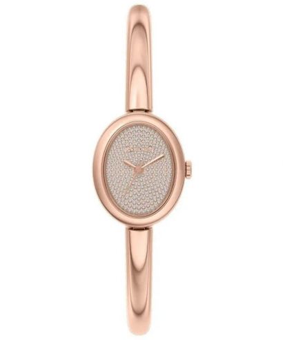 Hodinky dámske Michael Kors Maude