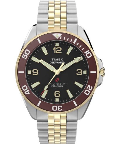 Hodinky pánske Timex Deep Water Arctic